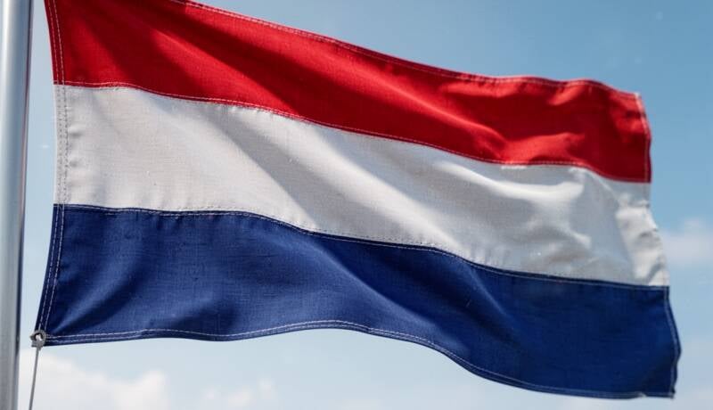 Nederlandse vlag 029